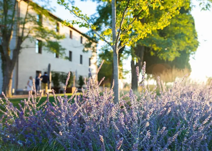 Pensieri Di Cavatina * Castelnuovo Berardenga